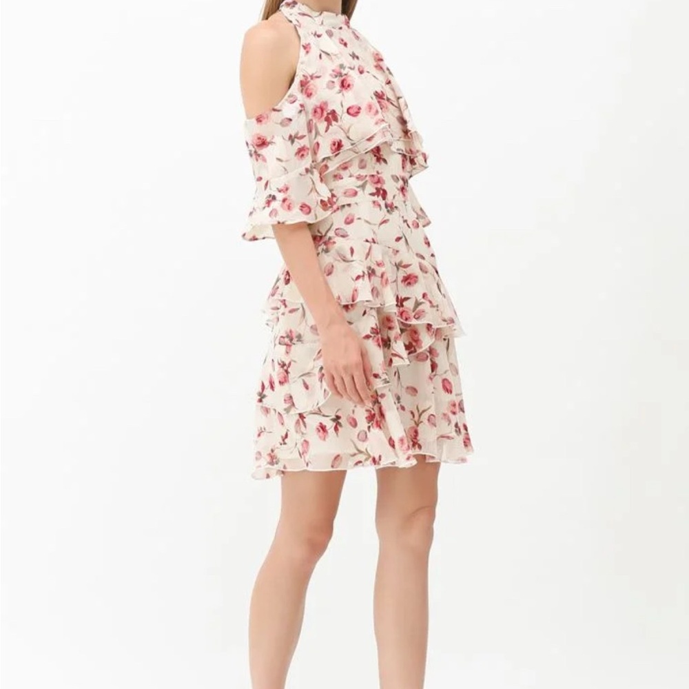 Floral Ruffle Off-Shoulder Dress - Picture 3 of 5